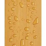 Olympic WaterGuard 1 Gallon Clear Exterior Waterproofing Wood Sealer