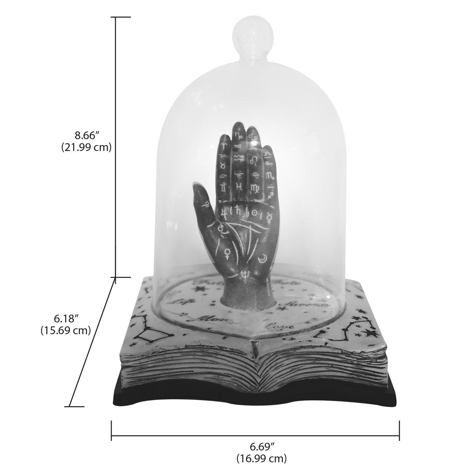 WAY TO CELEBRATE 8IN PALMISTRY CLOCHE