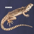 thumbnail image 3 of CafePress - Desert Iguana Long Sleeve Dark T Shirt - Long Sleeve Dark T-Shirt, 3 of 5