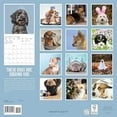 thumbnail image 4 of Graphique 2026 Judging Dogs Wall Calendar - 12” x 12” - Thick Paper - Home & Office Organizer - Large Monthly Grid - 3 Languages & Marked Holidays - 4 Month Preview Page for 2027, 4 of 5