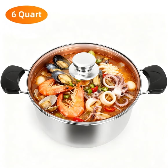 GPED Olla de 6QT con Tapa, Olla de Acero Inoxidable para Sopa y Pasta con Tapa Visible para Sopa, Pasta, Vegetales, Olla de Inducción para Todas las Estufas, Resistente y de Doble Asa, Apta para Lava