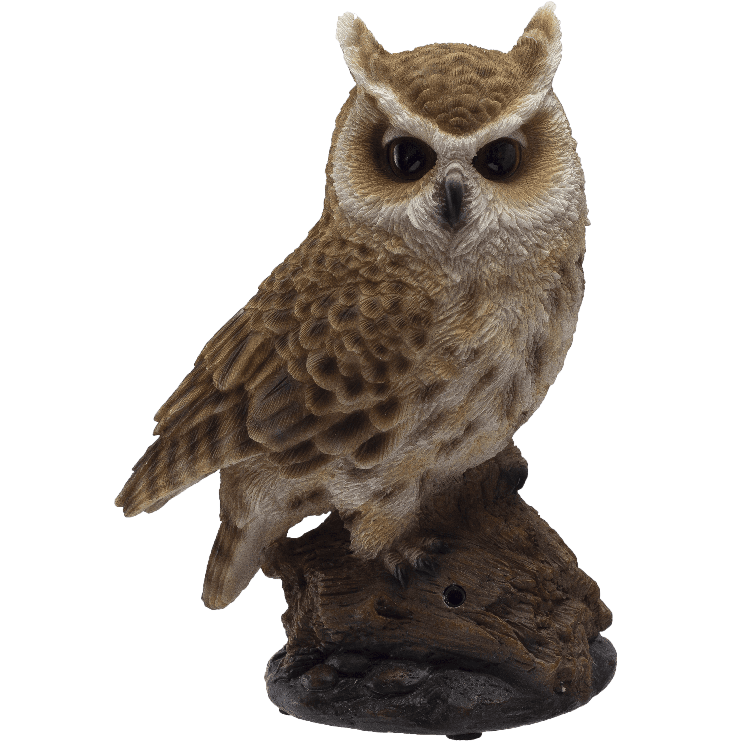 Eagle Owl Perching on Branch with Singing Bird Sound Collectible ...