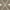 Brown/Ivory, variant on SAFAVIEH Natural Kilim Blaine Geometric Runner Rug, Brown/Ivory, 2'3" x 12'