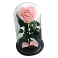 thumbnail image 4 of Plantas Flores Artificiales, Rosas Preservada, Cúpula de Cristal Rosado, 4 of 9