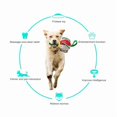 thumbnail image 2 of Pet UFO Ball Toy Pet Flying Saucer Football Toy With Soft Rope For Catching And Biting Dog Outdoor Training Ball, 2 of 4