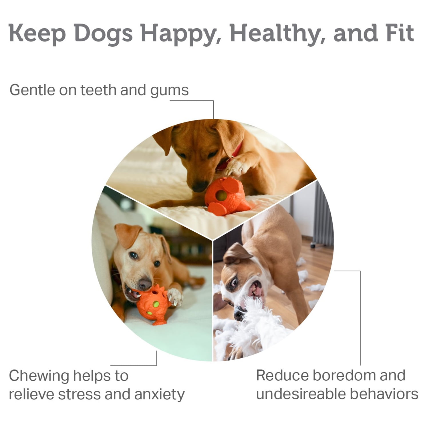 Pefilos Dog Chew Toys, Durable Dog Toys for Teething with Natural Rubber, Small and Medium Dog (Green+Orange) Pefilos Dog Chew Toys, Durable Dog Toys for Teething with Natural Rubber, Small and Medium Dog (Green+Orange)