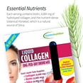 thumbnail image 6 of Applied Nutrition Liquid Collagen Skin Revitalization - 10 Liquid Tubes - Collagen, Biotin & Silica - Tropical Strawberry & Kiwi Flavor - 10 Servings, 6 of 7