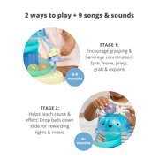 Skip Hop Seascape Activity Ball Drop Toy for Baby & Toddler