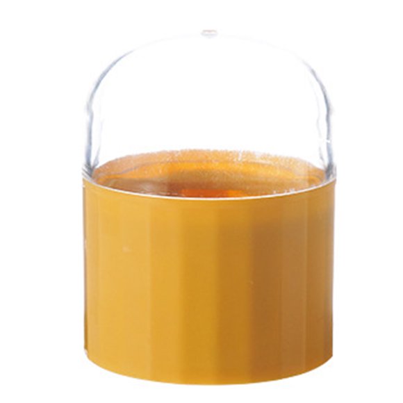 Case d'organisateur de l'œuf d'oeuf de beauté Cosmetic, couvercle transparent à l'œuf à l'œuf à l'œuf en plastique Plastique facile à installer pour la commode pour la
