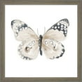 thumbnail image 3 of Great Art Now Steady Wings by Patricia Pinto, 2 Piece Framed Art Set Each 13"W x 13"H, 3 of 3