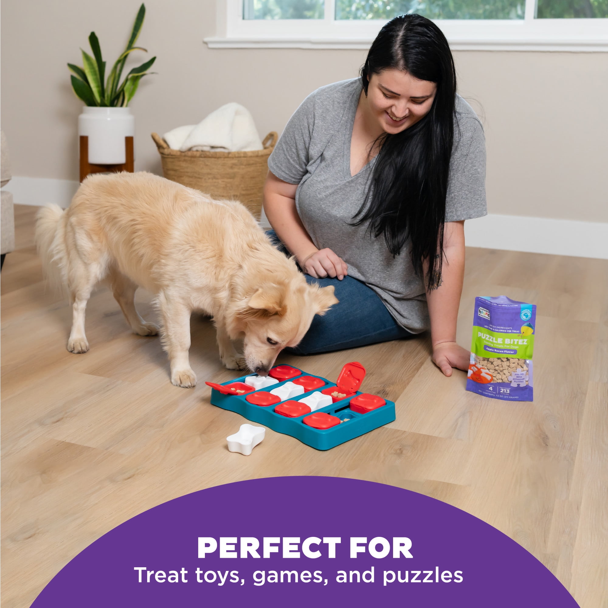 Outward Hound by Nina Ottosson Puzzle Bitez Training Treats for Dogs, Apple Bacon, 6oz