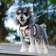 thumbnail image 3 of Strawberry Bear Pet Leash Vest Small Dogs Cats Puppy Harness With Leash Reflective No Choke Small, 3 of 4
