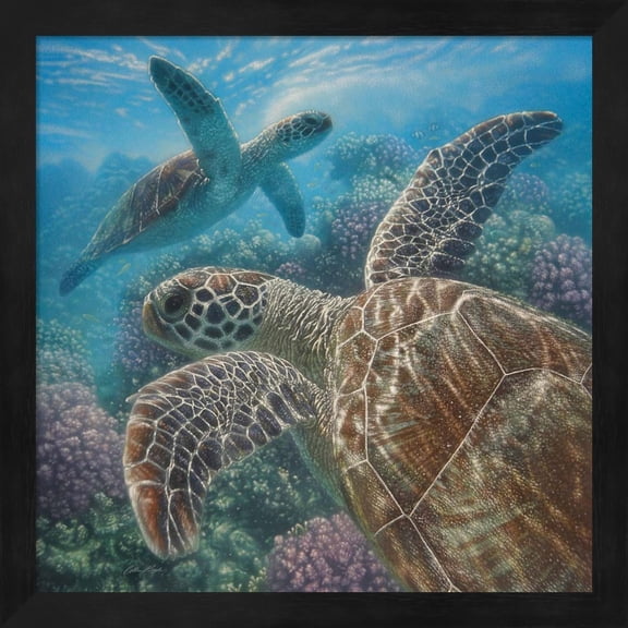 Sea Turtles - Turtle Bay - Square by Collin Bogle, Framed Wall Art, 13.25W x 13.25H