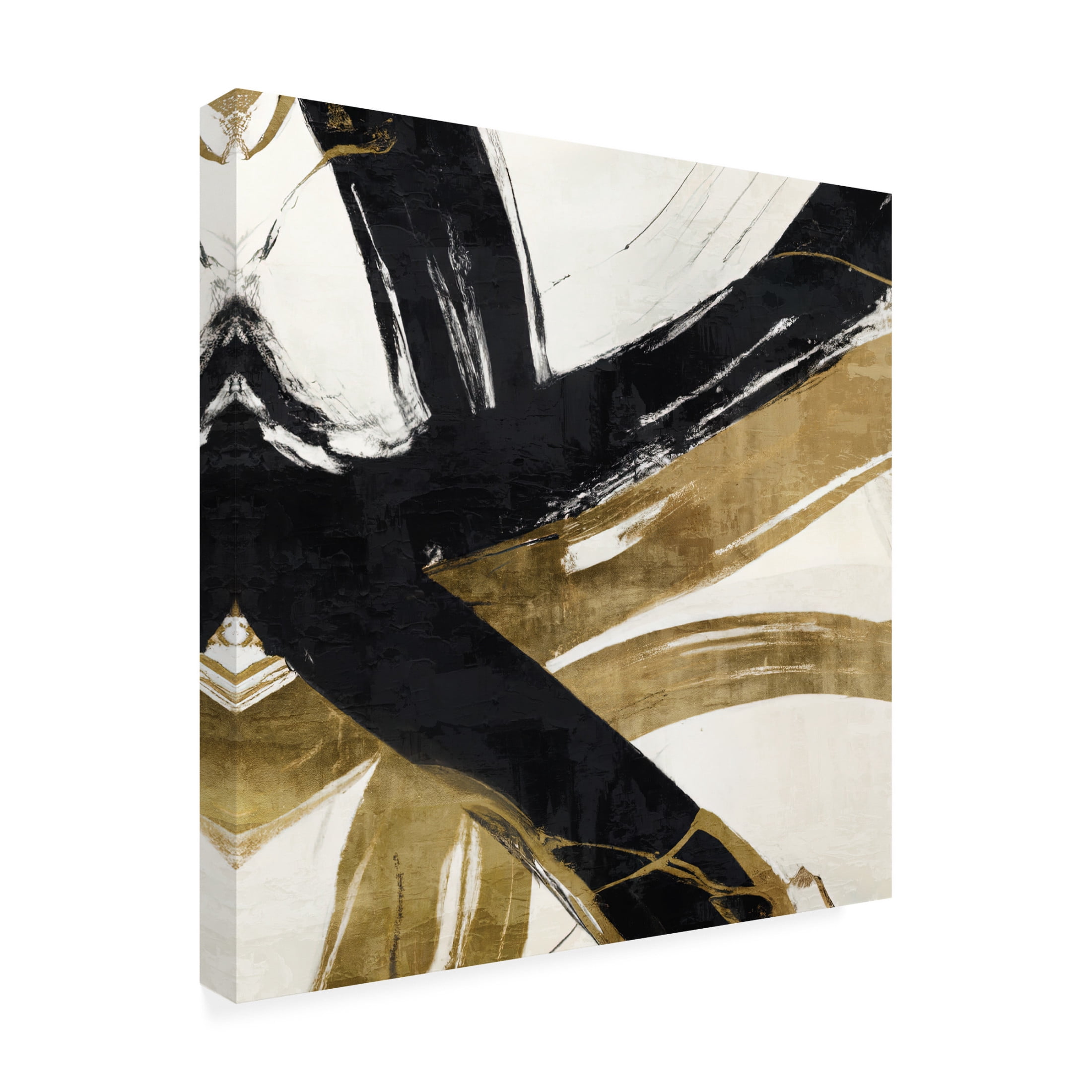 Canvas Wall Art - Sasha 'Chaos Theory' Wall Art for Living Room, Bedroom, or Office Décor by Trademark Fine Art - 24 x 24 Inches