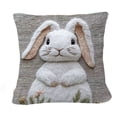 thumbnail image 2 of Tuvgenk Polyester Throw Pillow Covers 18x18 In Indoors Embroidered Pillowcases Multicolor Furry Rabbit for Patio, 2 of 6