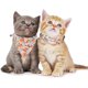 thumbnail image 2 of Cat Collar With Bow Tie Bandana, Kitten Collar With Removable Bowtie Bandana Cute Flower Pattern Cat Bowtie Bandana Collar For Cat Puppy-Pink, 2 of 4