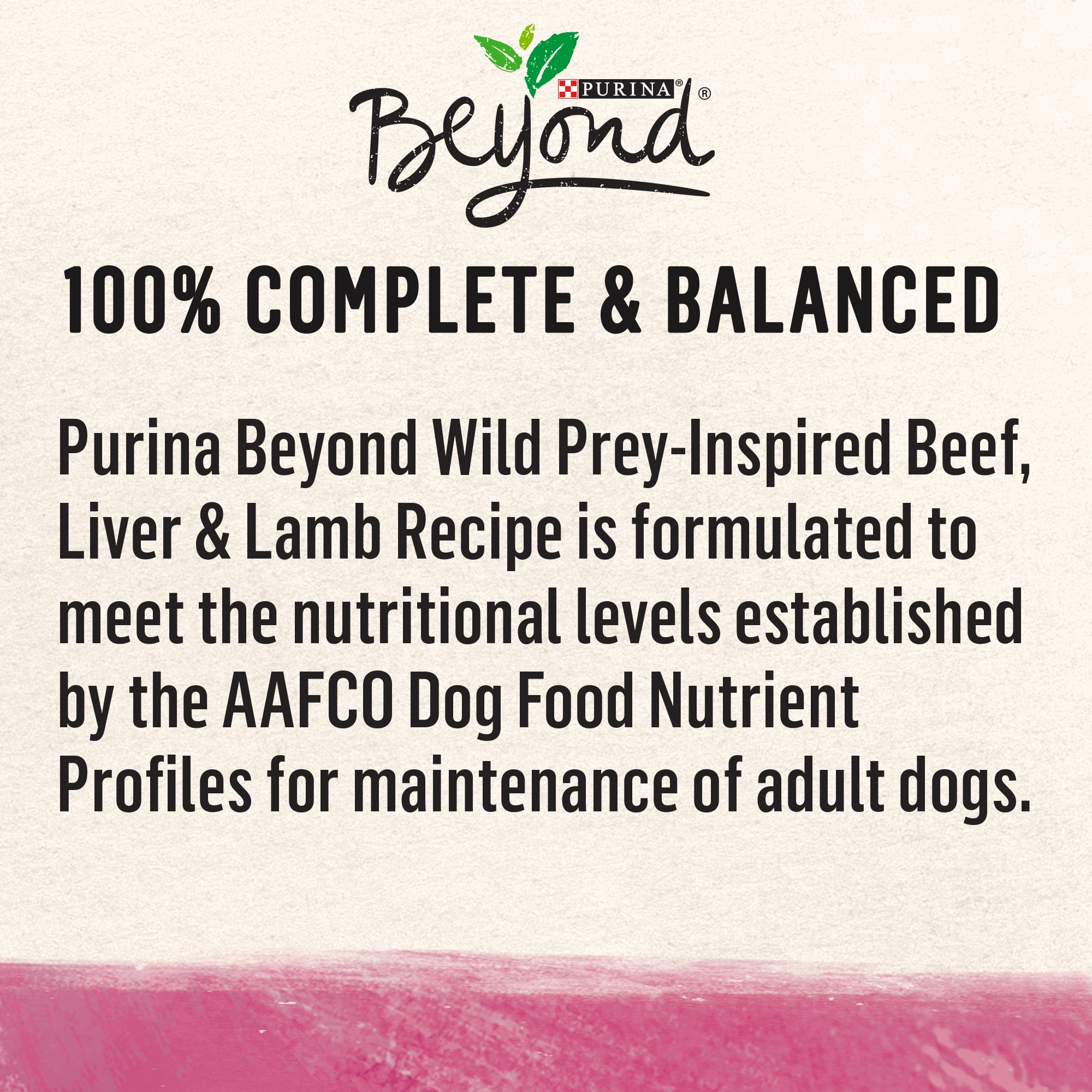 Purina beyond wild turkey & lentil recipe 2025