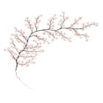 thumbnail image 2 of Cherry LED Tree Branch Lights for Wall, Cherry Blossom Willow Vine Twig Decor Garland with 48 LED Lights,8 Lighting Modes,Christmas Decorations Indoor for Home Wall Door Window, 2 of 8