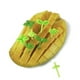 thumbnail image 3 of Juego de tenedores de plástico para fruta | Palillos para decorar pasteles y aperitivos en loncheras | Utensilios para postres, frutas y carnes en bandejas de fiesta, 3 of 7