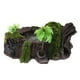 thumbnail image 5 of Planta Decorativo Terrario Serpiente Cueva Cráneo, 5 of 9