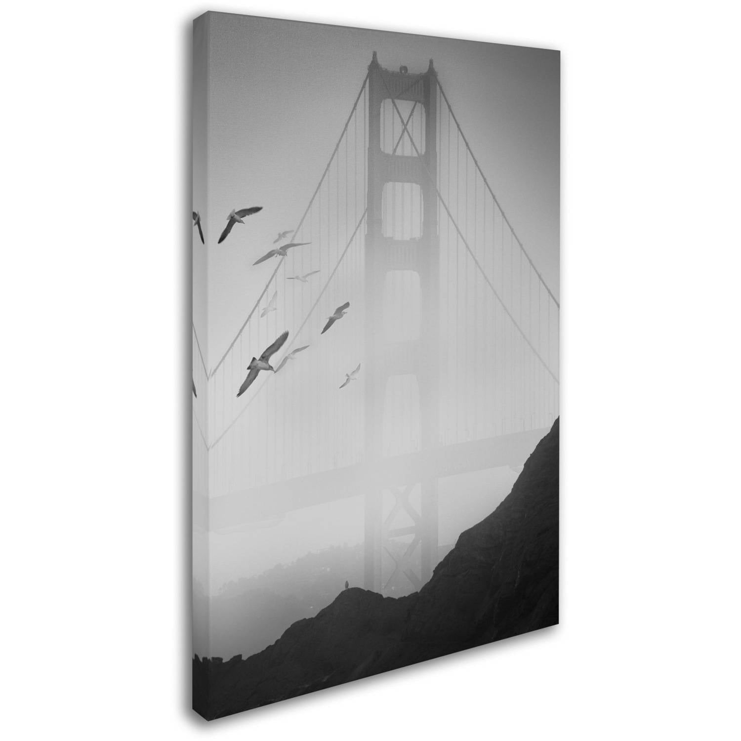 Trademark Fine Art "Golden Gate Pier and Birds I" Canvas Art by Moises Levy