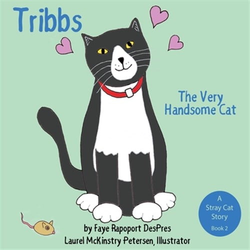 Pre-Owned Stray Cat Stories: Tribbs : The Very Handsome Cat (Series #2) (Paperback)
