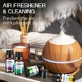 thumbnail image 3 of Essential Oils Set for Diffusers - Home Aromatherapy Oils Gift Set, 100% Natural Diffusers Oils Scents for Home, 6x10ML (Lavender, Eucalyptus, Lemon Grass, Sweet Orange, Peppermint, Tea Tree), 3 of 5