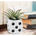 thumbnail image 3 of Esterno 6-Sided Dice Planter Pot; Game Lover’s Resin Gardening Container, 3 of 9