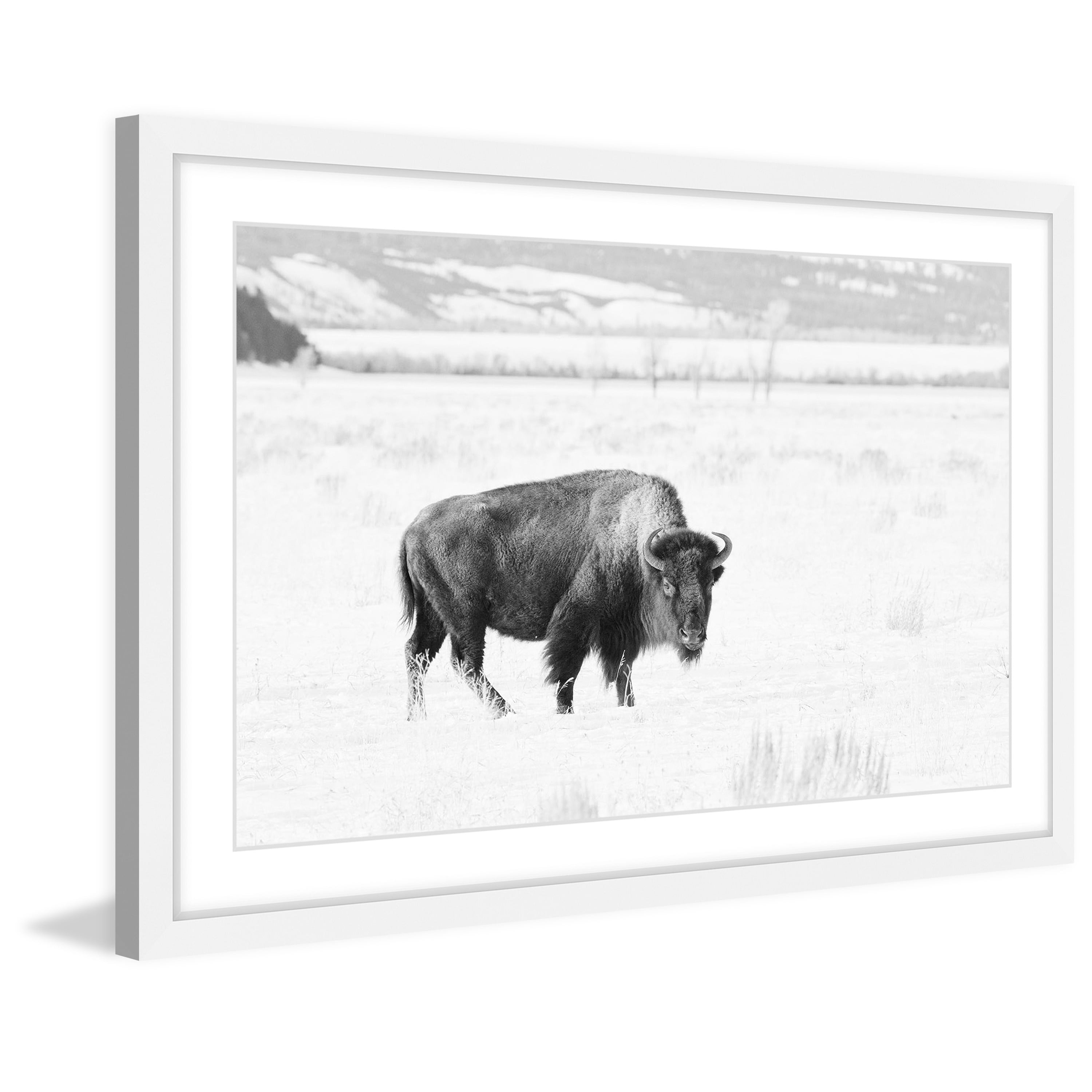 Marmont Hill "Buffalo Gaze" Framed Painting Print