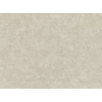 Warner Textures Clegane Bone Plaster Texture Wallpaper, 27-in by 27-ft, 60.8 sq. ft