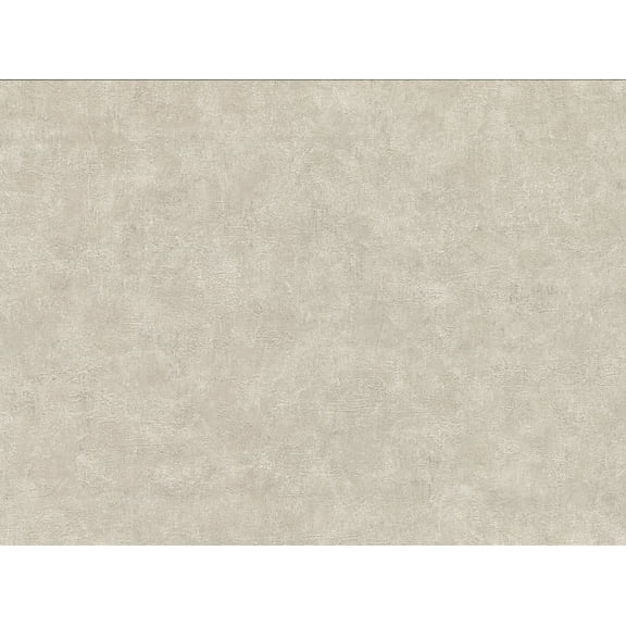 Warner Textures Clegane Bone Plaster Texture Wallpaper, 27-in by 27-ft, 60.8 sq. ft