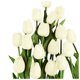 thumbnail image 2 of Tulipanes artificiales decorativos Huayishang en liquidación, 10 unidades, color blanco cremoso. Imitaciones para el hogar. 10 unidades de flores artificiales., 2 of 4