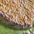 thumbnail image 2 of Labymos Middle school students world Chinese three-dimensional topographic map set gift desktop geographic fill training, 2 of 8