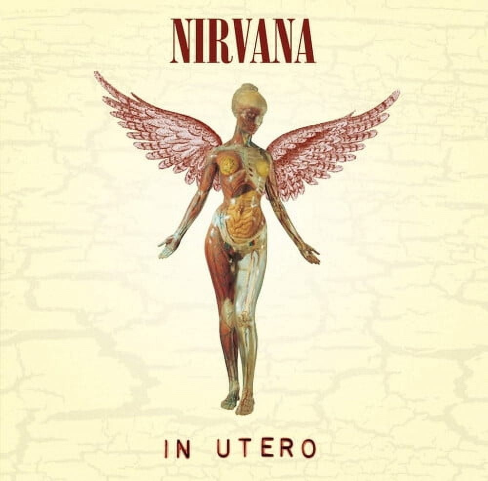 Nirvana - In Utero (20th Anniversary Edition) - Music