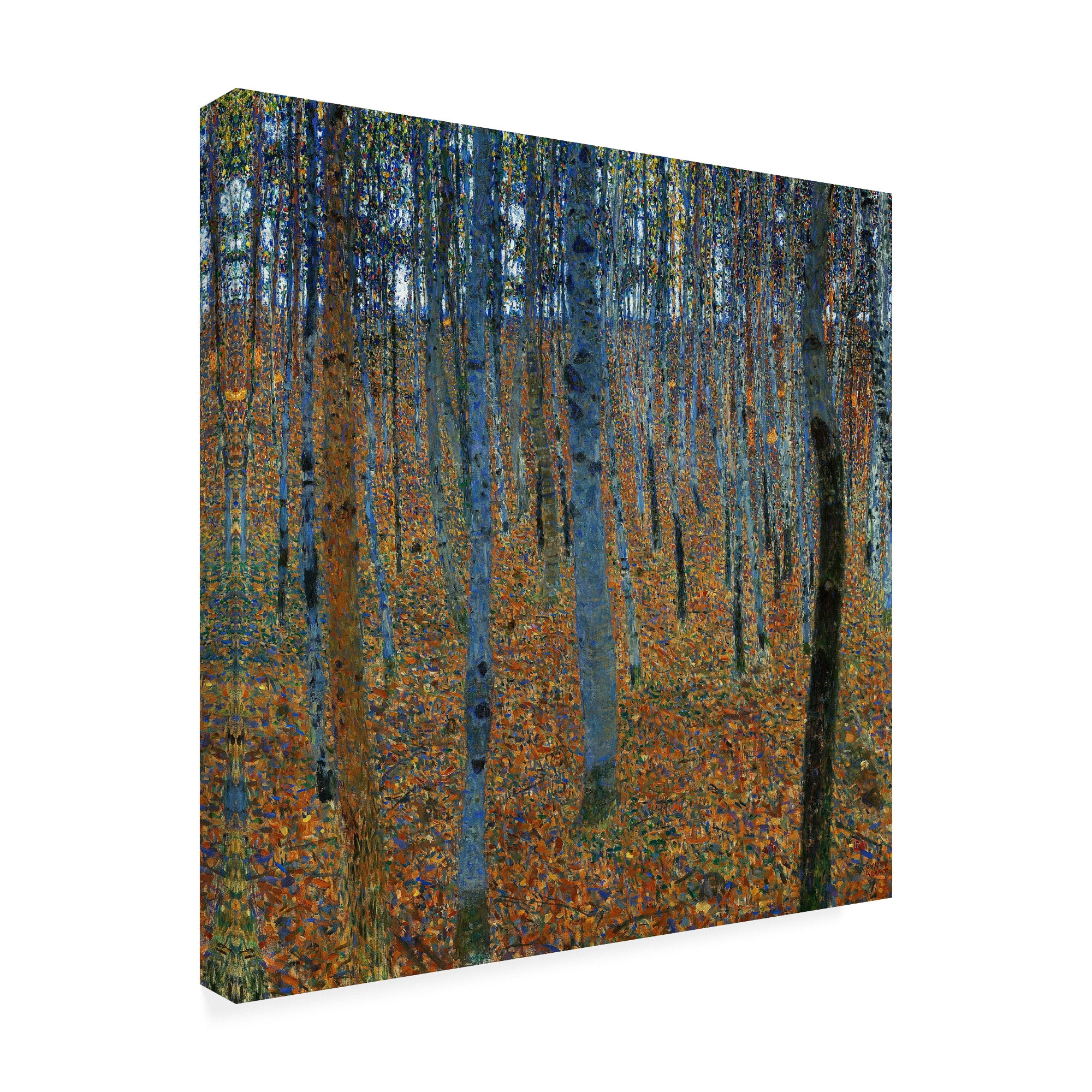 Trademark Fine Art 'Beech Grove I' Canvas Art by Gustav Klim