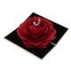 thumbnail image 1 of Caja de de Compromiso Titular apariencia Flor Yinane Caja de almacenamiento de anillo, 1 of 8
