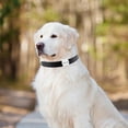 thumbnail image 2 of Amdohai Mini Tracking Device Bluetooth GPS Tracker Smart Tag Waterproof Dog Pet Finder Tracker Locator, 2 of 8