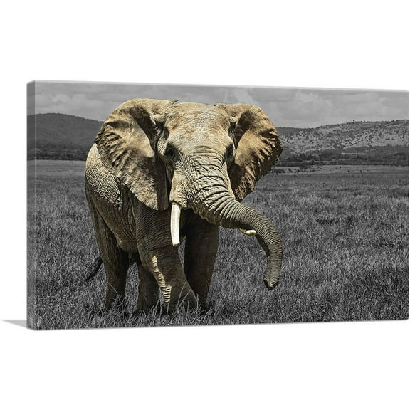 ARTCANVAS Elephant In African Savannah Grass Field Canvas Art Print - Size: 26" x 18" (0.75" Deep)