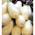 thumbnail image 1 of 50 CASPER WHITE EGGPLANT Solanum Melongena Fruit / Vegetable Seeds, 1 of 4