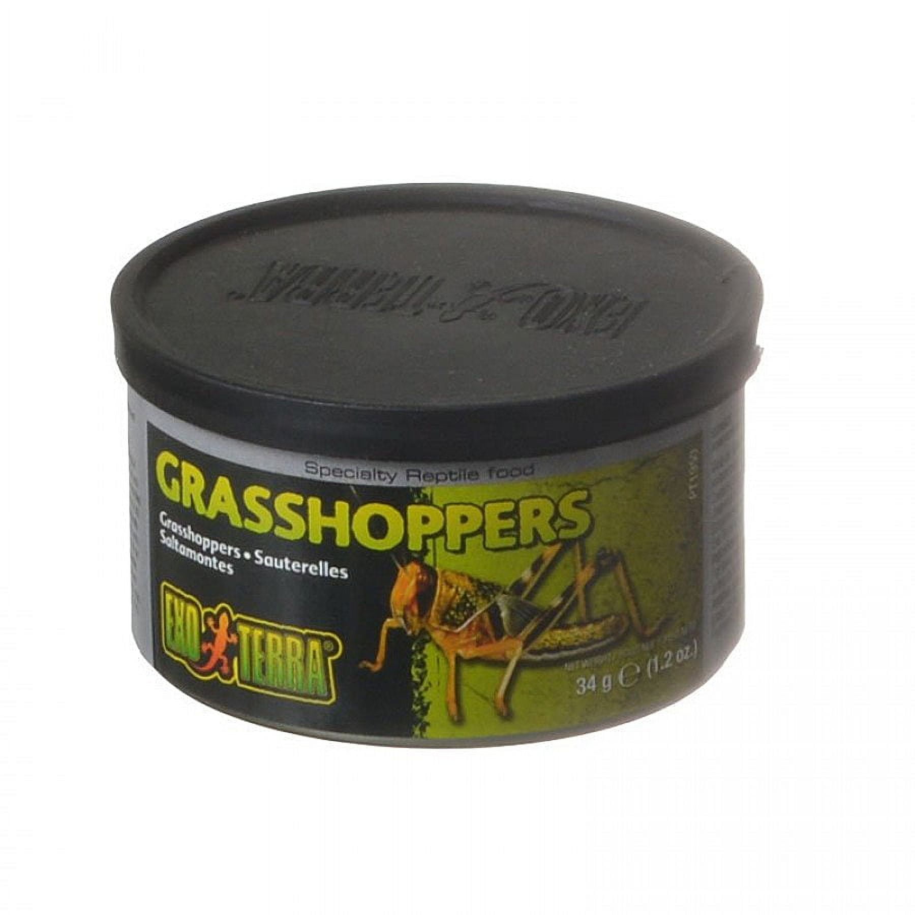 (2 pack) Exo Terra Grasshopper Reptile Food, Insects, 1.2 oz. Can