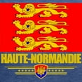 thumbnail image 3 of CafePress - Haute Normandie (Flag 10) T Shirt - Womens Tri-blend T-Shirt, 3 of 4