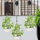 thumbnail image 4 of 6 Pack Plant Pulley Retractable Hanger Plant Pulley Adjustable Height Wheel For Hanging Plants Indo, 4 of 5