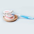 thumbnail image 4 of Cepillo de dientes de ortodoncia, limpieza Dental, cuidado bucal, cepillo de dientes de pelo suave #02, 4 of 8