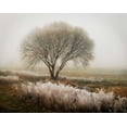 thumbnail image 2 of Vitaly Geyman 18x15 Gallery Wrapped Canvas Wall Art Titled - Tranquility I, 2 of 4