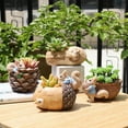 thumbnail image 3 of Flowerpot Flower Pot Flowerpot Small Plant Pots Planters Cartoon Cute Animal Squirrel Fleshy Flower Pot Resin Succulent Pots Desktop Pots for Plants Room Decorations Decoration for Office Succulents, 3 of 9