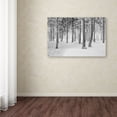 thumbnail image 3 of Trademark Fine Art "Frozen World" Canvas Art by Philippe Sainte-Laudy, 3 of 3