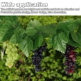 thumbnail image 6 of Jiibva Hanging Artificial Grapes DIY Artificial Fruits Plastic Fake Fruit for Home Garden Decoration Christmas Wedding Party Supplies, 6 of 7