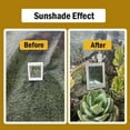 thumbnail image 4 of 50% Shade Net for Succulents - UV Protection & Long-lasting!, 4 of 8