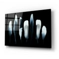 thumbnail image 2 of Epic Art 'Feathers' by Incado, Acrylic Glass Wall Art, 24"x16", 2 of 8
