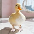 thumbnail image 4 of Duck Shoes for Call Ducks, Poultry Boots for Paw Protection, Anti-Slip and Anti-Filth Outdoor Protective Footwear for Pet Ducks, Washable and Reusable, 4 of 6